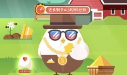 托尔吃瓜爆料小课堂QQ,带你走进神秘的网络世界